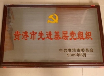 贵港市先进基层党组织（2009年6月）