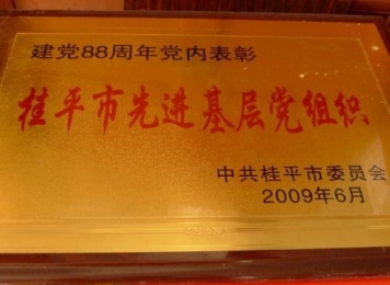 建党88周年党内表彰-桂平市先进基层党组织（2009年6月）