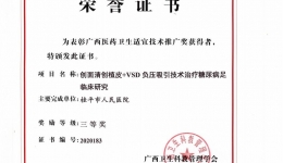 广西医药卫生适宜技术推广奖-创面清创植皮+VSD负压吸引技术