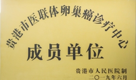 贵港市医联体卵巢癌诊疗中心成员单位