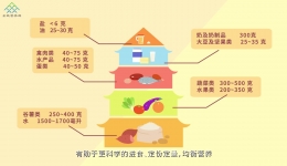 分餐食尚 营养健康