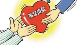 贵港市红十字会 贵港市卫生健康委员会关于表扬2021年全市人体器官捐献工作先进集体和先进个人的通知