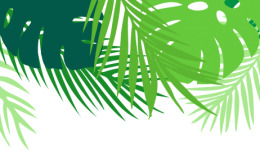 用心呵护心灵的窗户——桂平市人民医院到西山镇思灵小学开展2022年全国“爱眼日”宣传活动