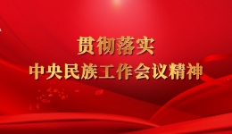 习近平总书记在中央民族工作会议上的重要讲话金句
