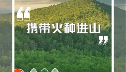 温馨提示 | 牢记森林防火常识