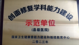 创面专科建设能力示范单位