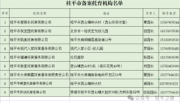 相育浔州·托起未来——还等什么？桂平市普惠托育服务免费体验活动来啦！