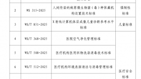 2025年世界标准日