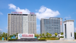 桂平市人民医院2026年助理全科医生培训基地招生简章